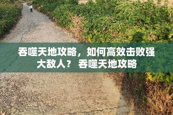 吞噬天地攻略，如何高效击败强大敌人？ 吞噬天地攻略