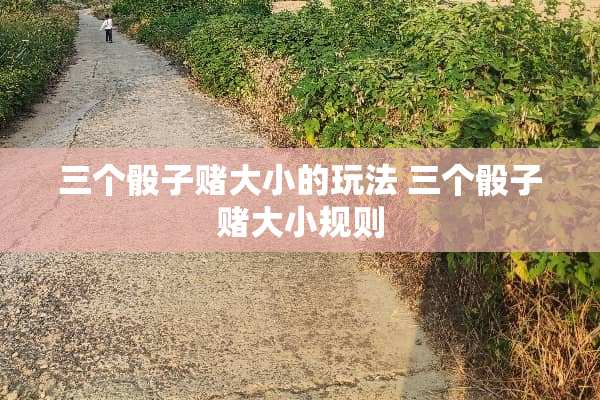 三个**赌大小的玩法 三个**赌大小规则