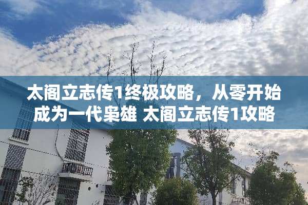 太阁立志传1终极攻略，从零开始成为一代枭雄 太阁立志传1攻略