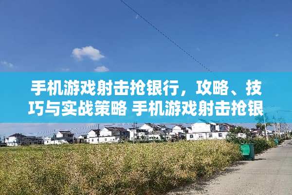 手机游戏射击抢银行，攻略、技巧与实战策略 手机游戏射击抢银行攻略