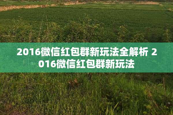 2016微信红包群新玩法全解析 2016微信红包群新玩法