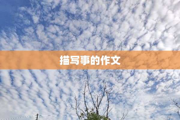 描写事的作文