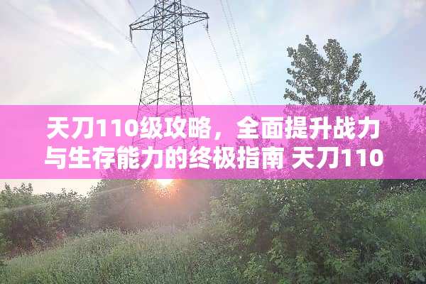 天刀110级攻略，全面提升战力与生存能力的终极指南 天刀110攻略