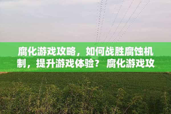 腐化游戏攻略，如何战胜腐蚀机制，提升游戏体验？ 腐化游戏攻略