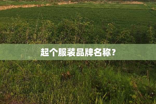 起个服装品牌名称？
