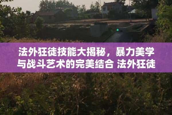 法外狂徒技能大揭秘，**美学与战斗艺术的完美结合 法外狂徒技能介绍