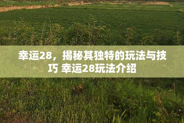 幸运28，揭秘其独特的玩法与技巧 幸运28玩法介绍