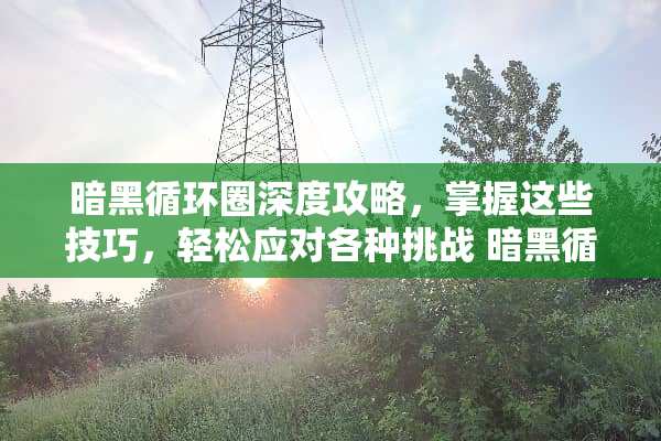 暗黑循环圈深度攻略，掌握这些技巧，轻松应对各种挑战 暗黑循环圈攻略