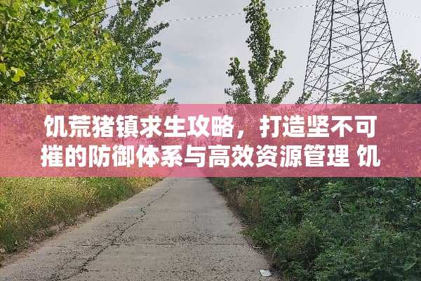 饥荒猪镇求生攻略，打造坚不可摧的防御体系与高效资源管理 饥荒猪镇攻略