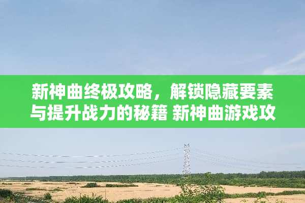 新神曲终极攻略，解锁隐藏要素与提升战力的秘籍 新神曲游戏攻略