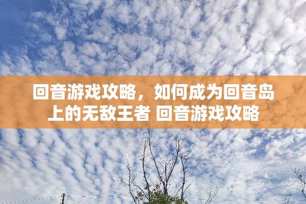 回音游戏攻略，如何成为回音岛上的无敌王者 回音游戏攻略