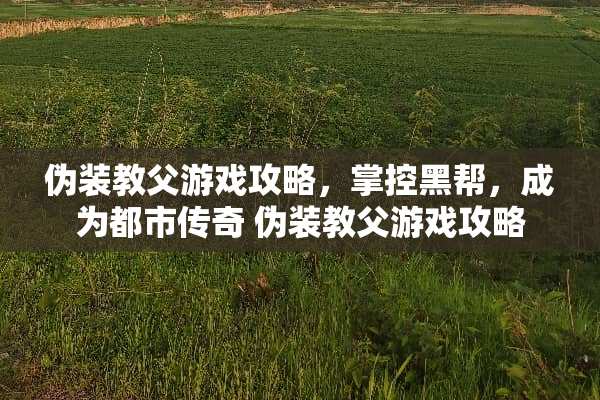 伪装教父游戏攻略，掌控黑帮，成为都市传奇 伪装教父游戏攻略