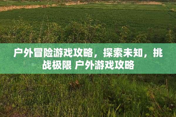 户外冒险游戏攻略，探索未知，挑战极限 户外游戏攻略