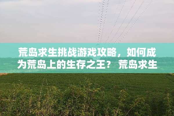 荒岛求生挑战游戏攻略，如何成为荒岛上的生存之王？ 荒岛求生挑战游戏攻略
