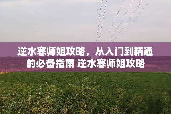 逆水寒师姐攻略，从入门到精通的必备指南 逆水寒师姐攻略
