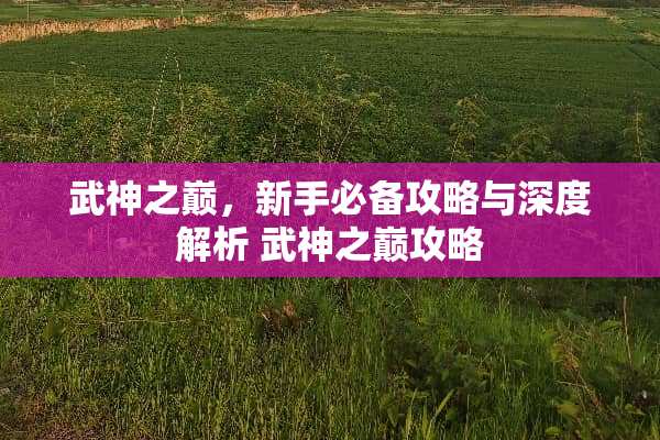武神之巅，新手必备攻略与深度解析 武神之巅攻略