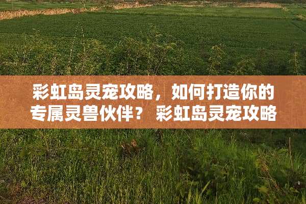 彩虹岛灵宠攻略，如何打造你的专属灵兽伙伴？ 彩虹岛灵宠攻略