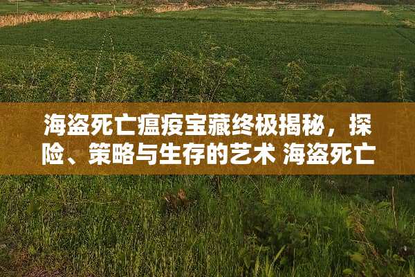 海盗死亡瘟疫宝藏终极揭秘，探险、策略与生存的艺术 海盗死亡瘟疫宝藏攻略