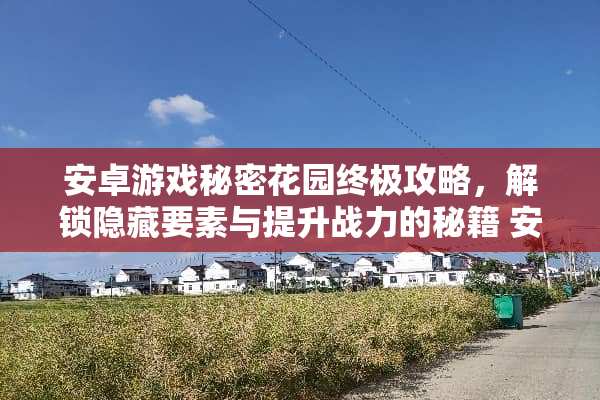 安卓游戏秘密花园终极攻略，解锁隐藏要素与提升战力的秘籍 安卓游戏秘密攻略攻略