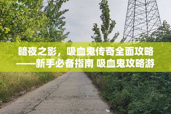 暗夜之影，吸血鬼传奇全面攻略——新手必备指南 吸血鬼攻略游戏下载