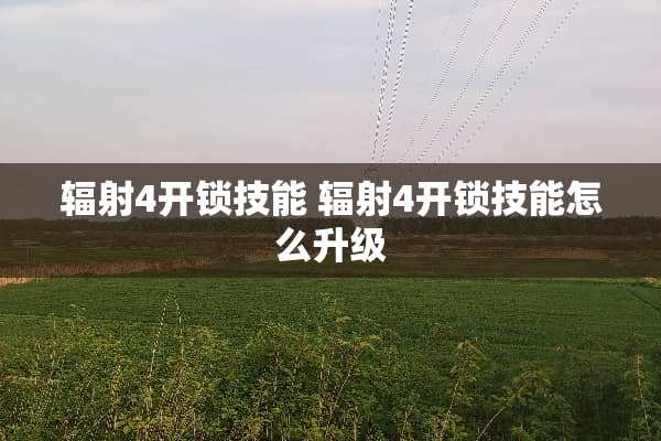 辐射4**技能 辐射4**技能怎么升级