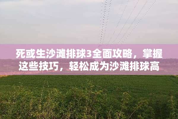 死或生沙滩排球3全面攻略，掌握这些技巧，轻松成为沙滩排球高手！ 死或生沙滩排球攻略