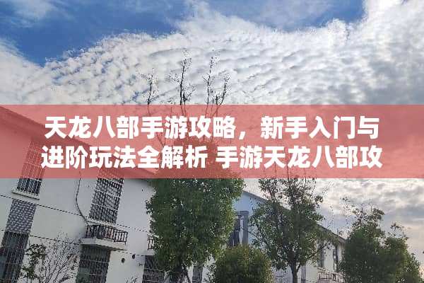 天龙八部手游攻略，新手入门与进阶玩法全解析 手游天龙八部攻略