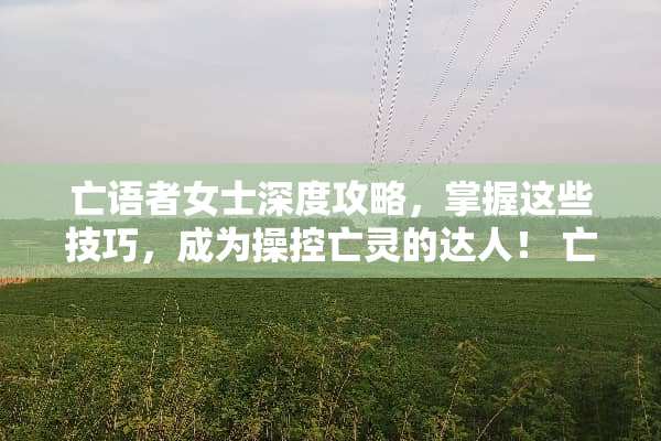 亡语者女士深度攻略，掌握这些技巧，成为操控亡灵的达人！ 亡语者女士攻略