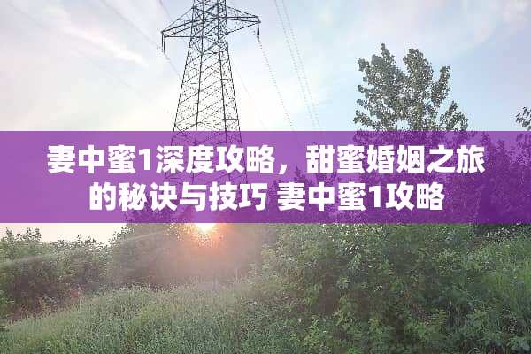 妻中蜜1深度攻略，甜蜜婚姻之旅的秘诀与技巧 妻中蜜1攻略