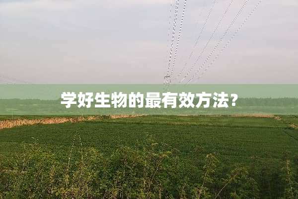 学好生物的最有效方法？