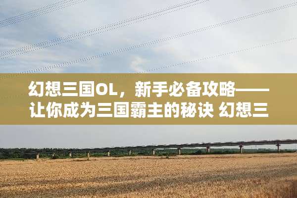 幻想三国OL，新手必备攻略——让你成为三国霸主的秘诀 幻想三国ol攻略