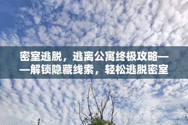 密室逃脱，逃离公寓终极攻略——解锁隐藏线索，轻松逃脱密室 密室逃脱逃离公寓攻略