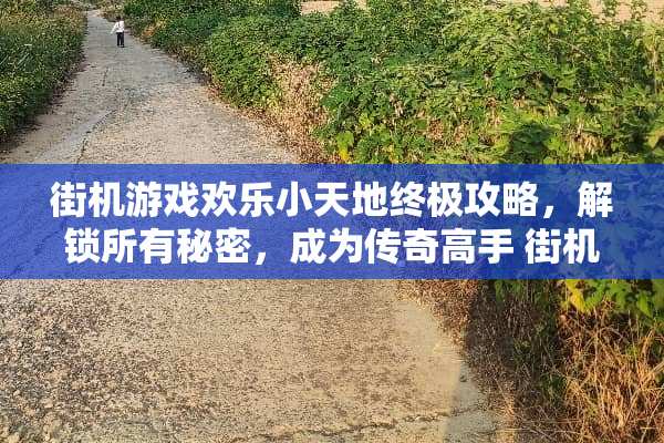 街机游戏欢乐小天地终极攻略，解锁所有秘密，成为传奇高手 街机游戏欢乐小天地攻略