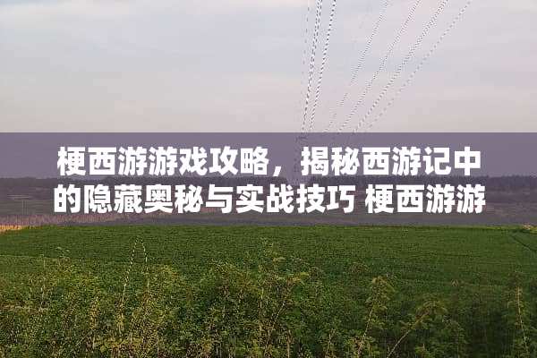 梗西游游戏攻略，揭秘西游记中的隐藏奥秘与实战技巧 梗西游游戏攻略21