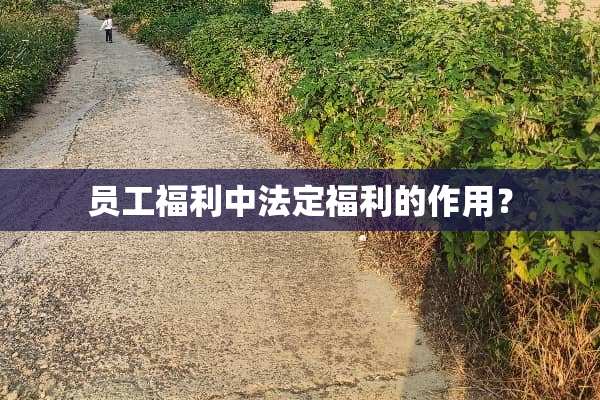 员工福利中法定福利的作用？