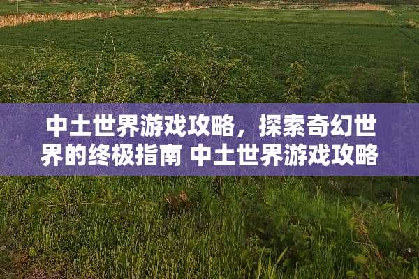 中土世界游戏攻略，探索奇幻世界的终极指南 中土世界游戏攻略