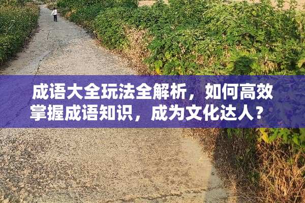 成语大全玩法全解析，如何高效掌握成语知识，成为文化达人？ 成语大全玩法