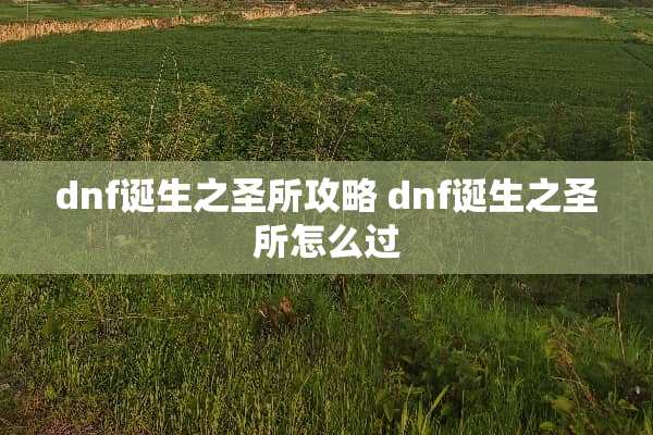 dnf诞生之圣所攻略 dnf诞生之圣所怎么过