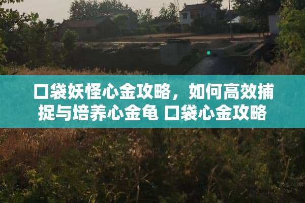 口袋妖怪心金攻略，如何高效捕捉与培养心金龟 口袋心金攻略