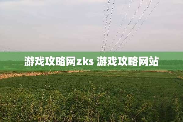 游戏攻略网zks 游戏攻略网站