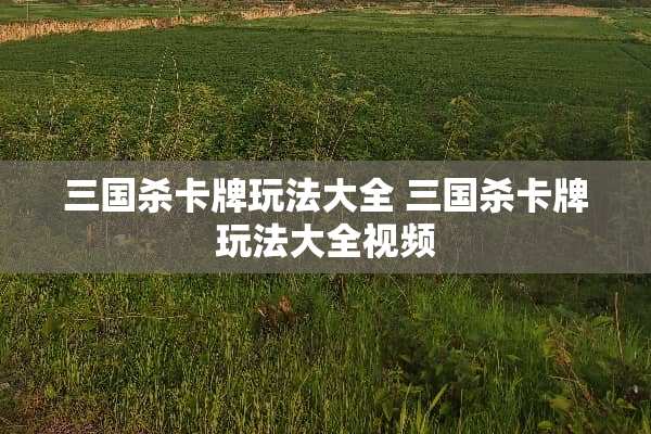 三国杀卡牌玩法大全 三国杀卡牌玩法大全视频