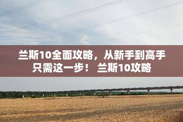 兰斯10全面攻略，从新手到高手只需这一步！ 兰斯10攻略