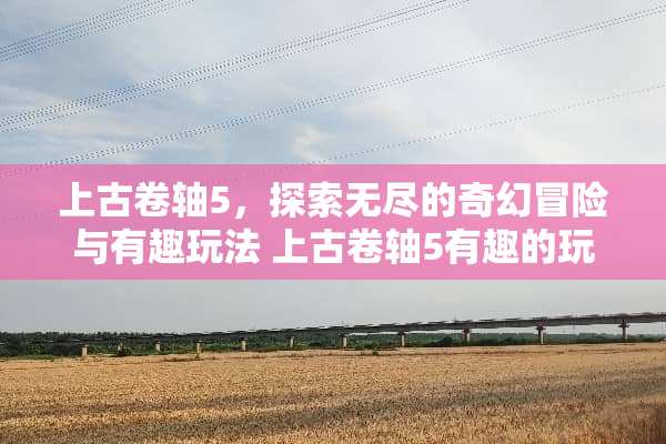 上古卷轴5，探索无尽的奇幻冒险与有趣玩法 上古卷轴5有趣的玩法