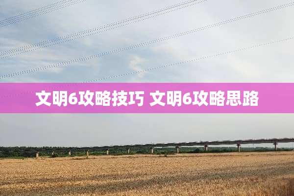 文明6攻略技巧 文明6攻略思路