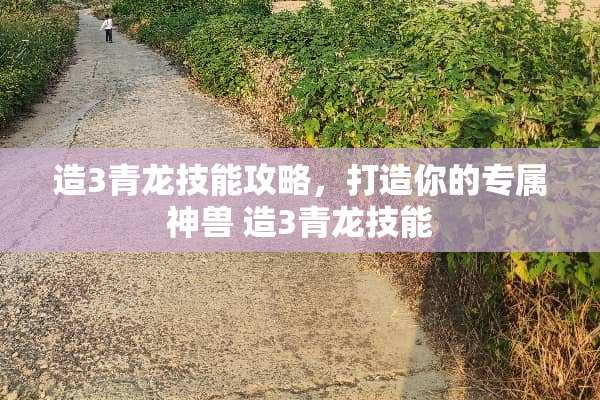 造3青龙技能攻略，打造你的专属神兽 造3青龙技能