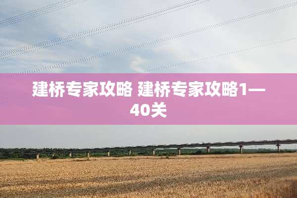 建桥专家攻略 建桥专家攻略1—40关