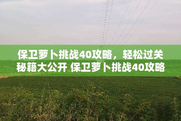 保卫萝卜挑战40攻略，轻松过关秘籍大公开 保卫萝卜挑战40攻略