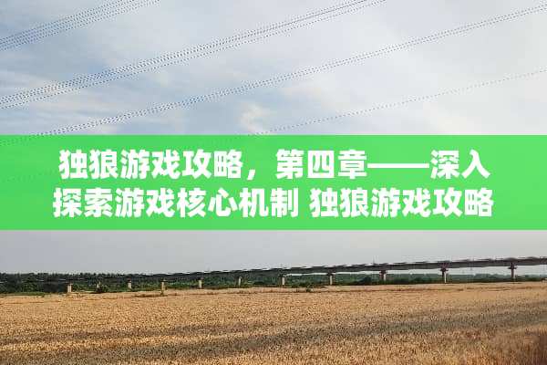 独狼游戏攻略，第四章——深入探索游戏核心机制 独狼游戏攻略第四章