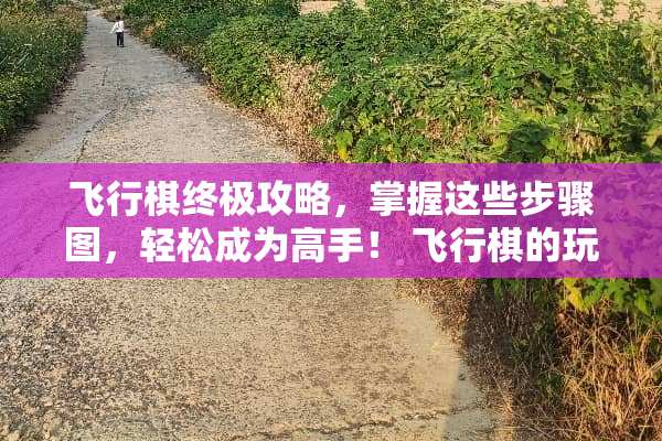 飞行棋终极攻略，掌握这些步骤图，轻松成为高手！ 飞行棋的玩法步骤图