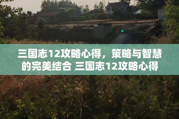 三国志12攻略心得，策略与智慧的完美结合 三国志12攻略心得